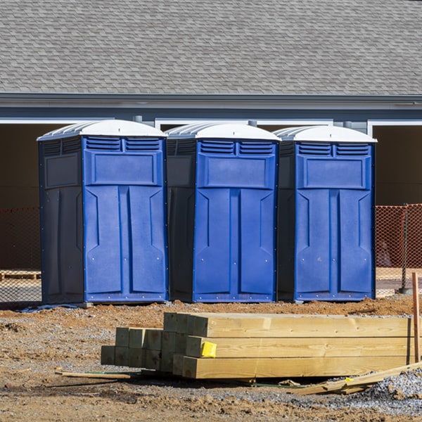 are there different sizes of portable restrooms available for rent in Pine Meadow